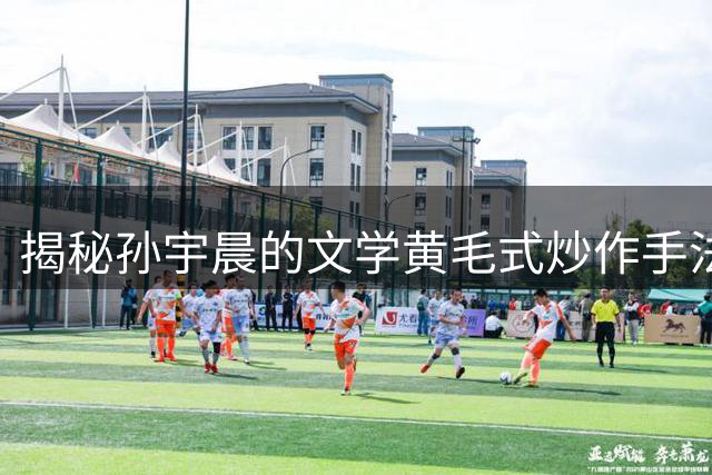 揭秘孙宇晨的"文学黄毛"式炒作手法